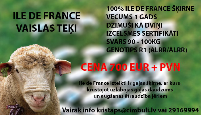 iledefrance_vaislas_teki2