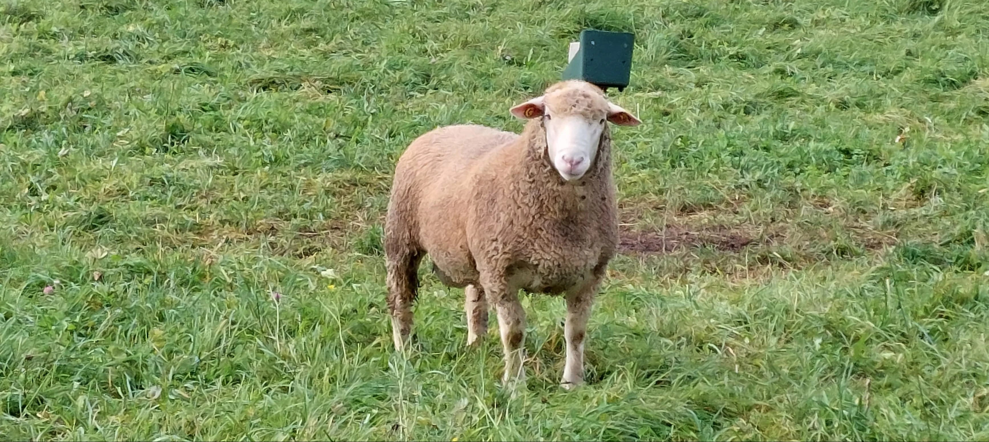 WhatsApp Image 2023-10-02 at 14.56.05